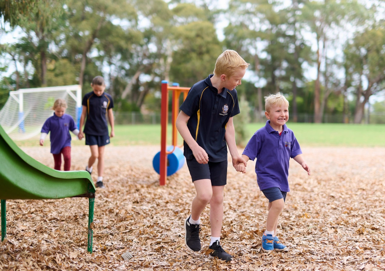 Jacandheathdtocom 0 254