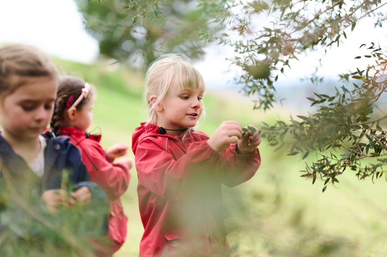 Jacandheathdtocom 0 301