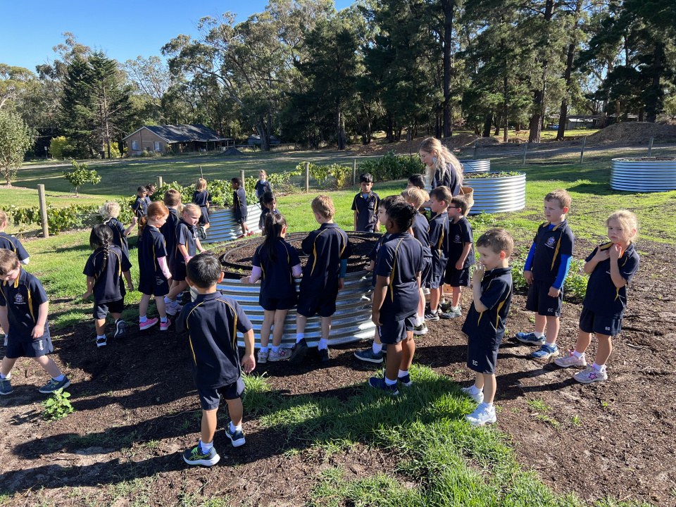 Copy of IMG 3735 1 copy