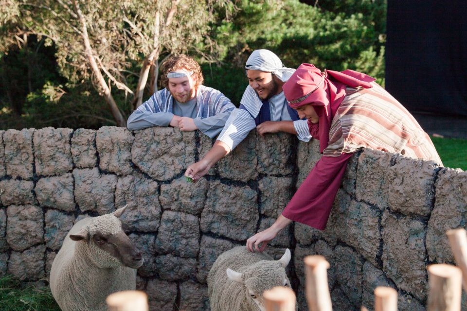 Jessigned RTB 2016 34