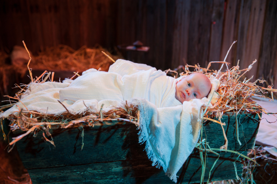 Jessigned RTB2017 35