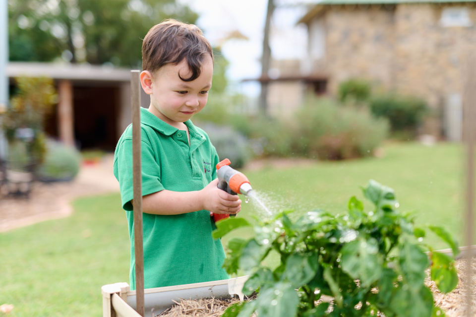 Jacandheathdtocom 0 155