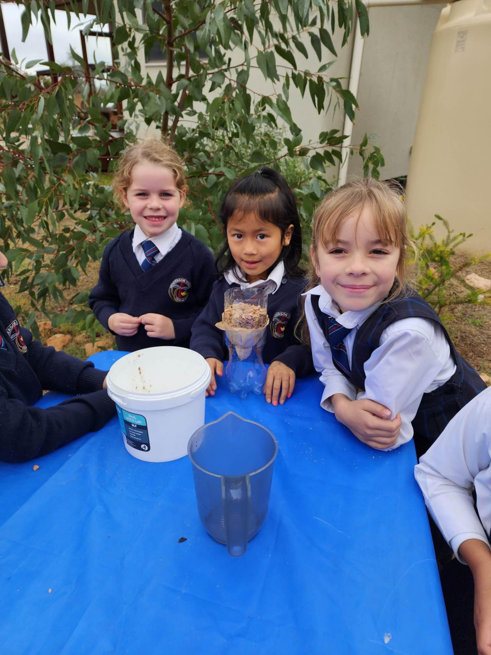 352233953 582795193923216 3423307956175684256 n