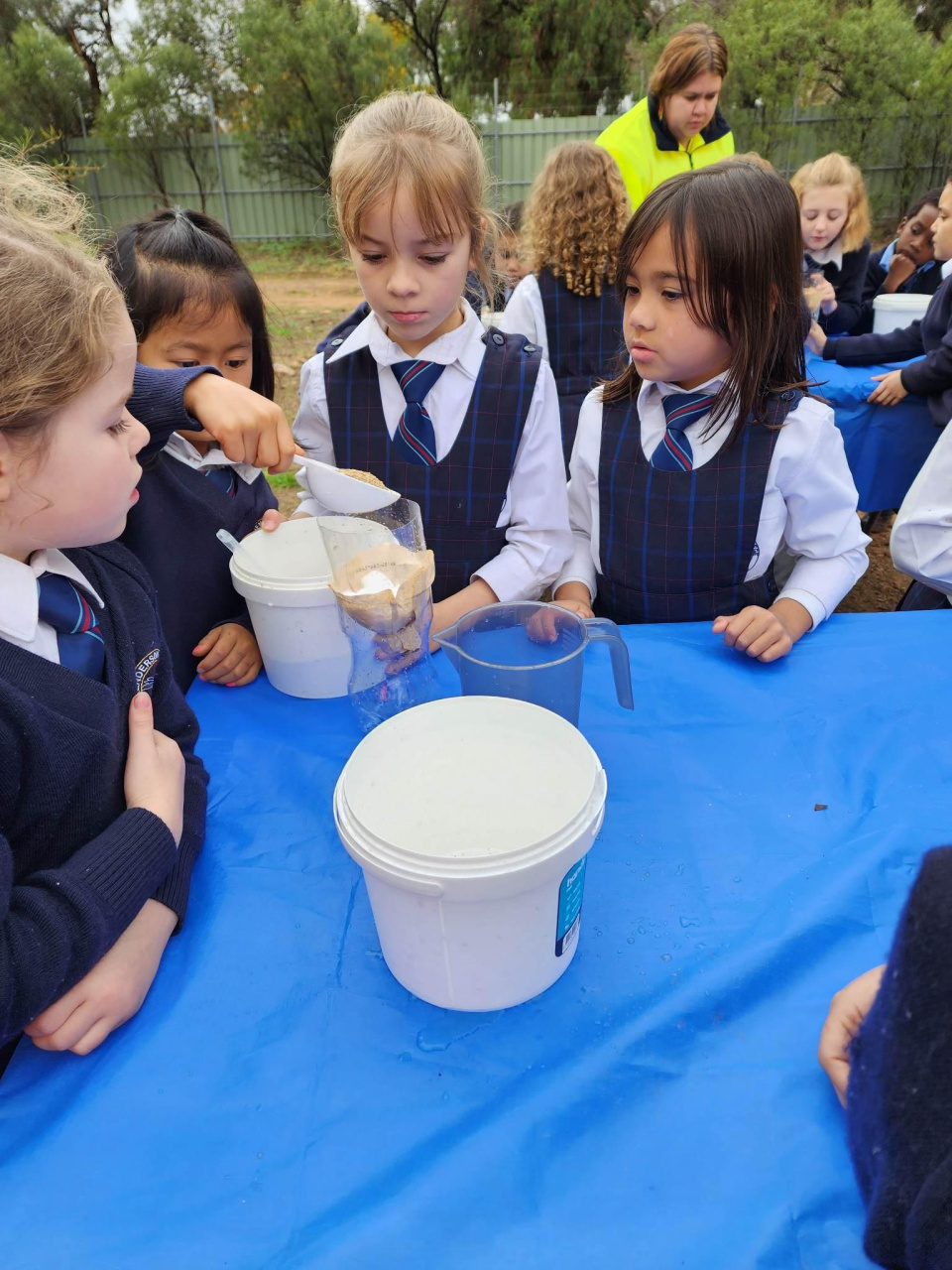 352312975 206007762145587 6941617642848184105 n