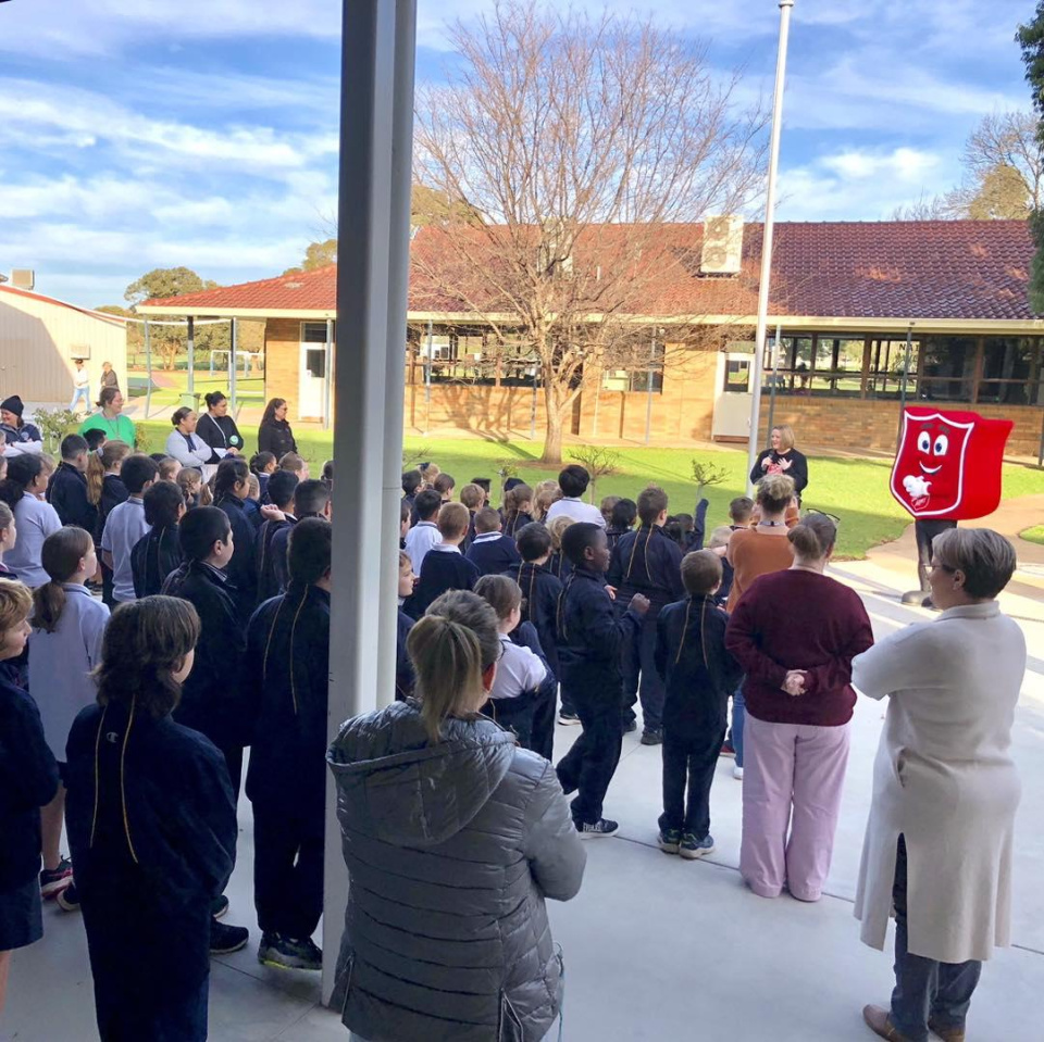 361313409 328729156149216 3238532244164843178 n