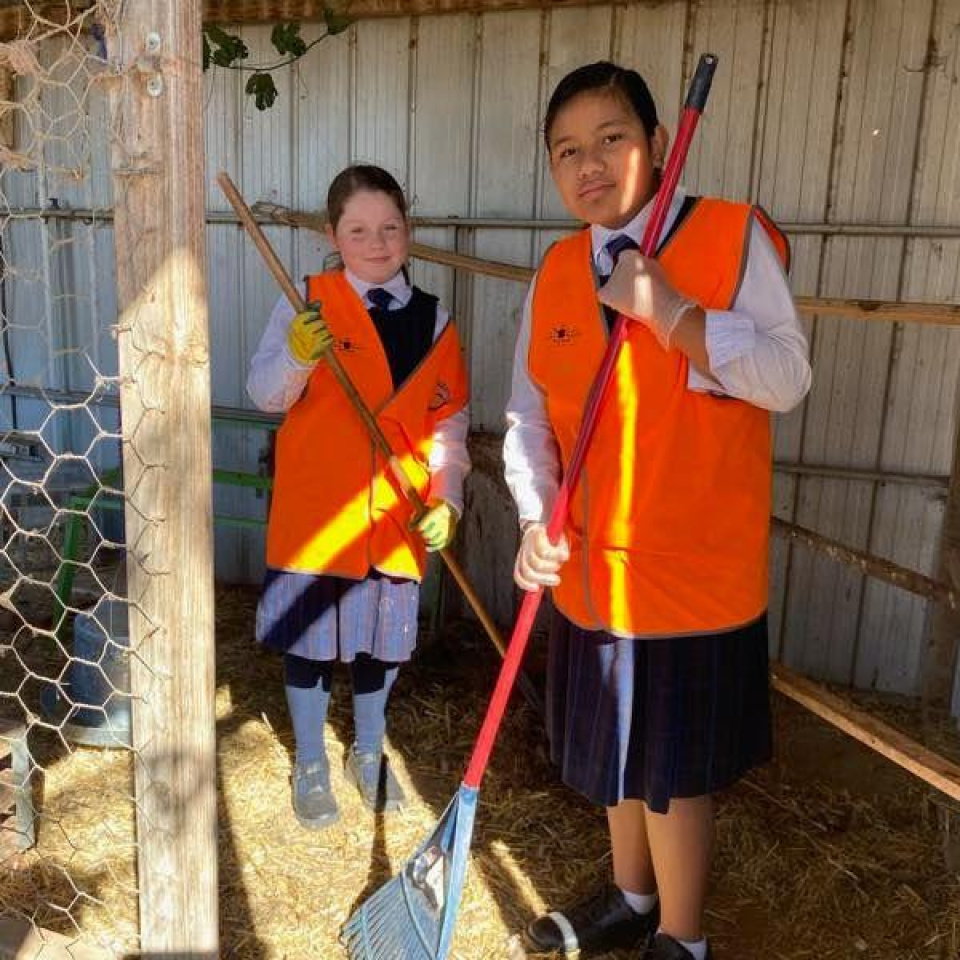 364800159 340804641608334 4050790792280053617 n