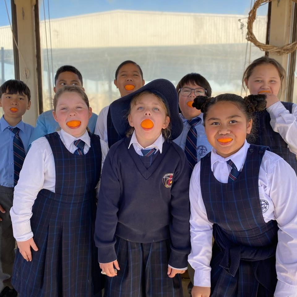 364801449 340804621608336 115144273113923614 n