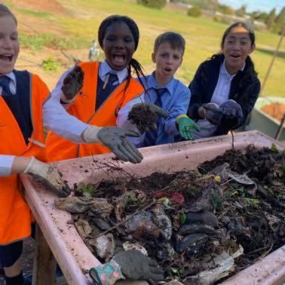 365315436 340804558275009 3072643955109388667 n