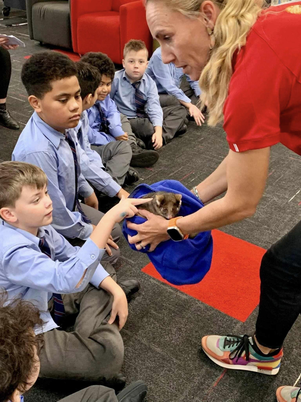 438221755 493221739699956 2362933204858044765 n