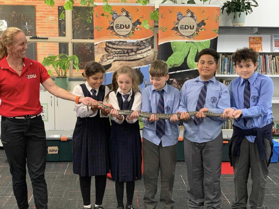 438301727 493221713033292 3273357491990355292 n