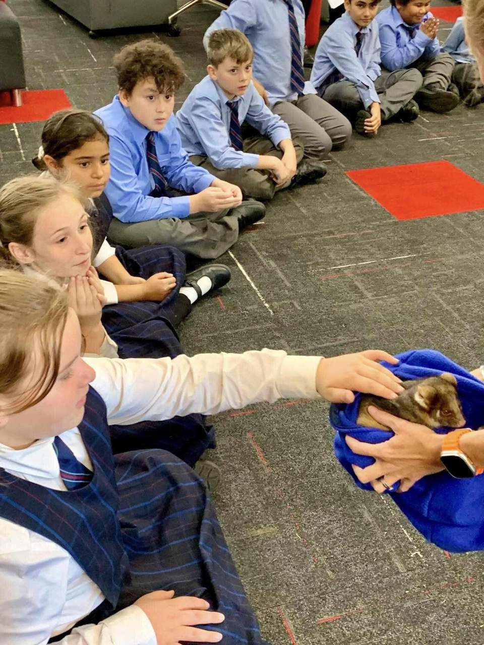 440931714 493221719699958 8087588509378642224 n