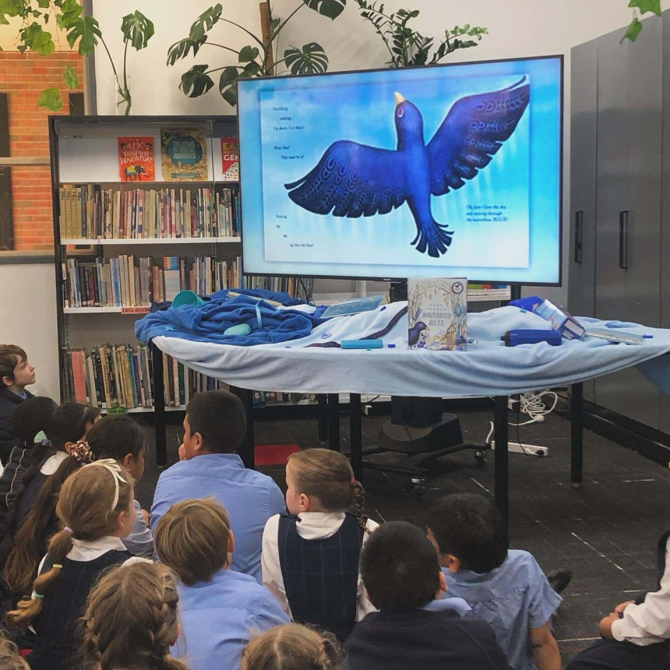 440946732 503051028717027 3730826367393736211 n