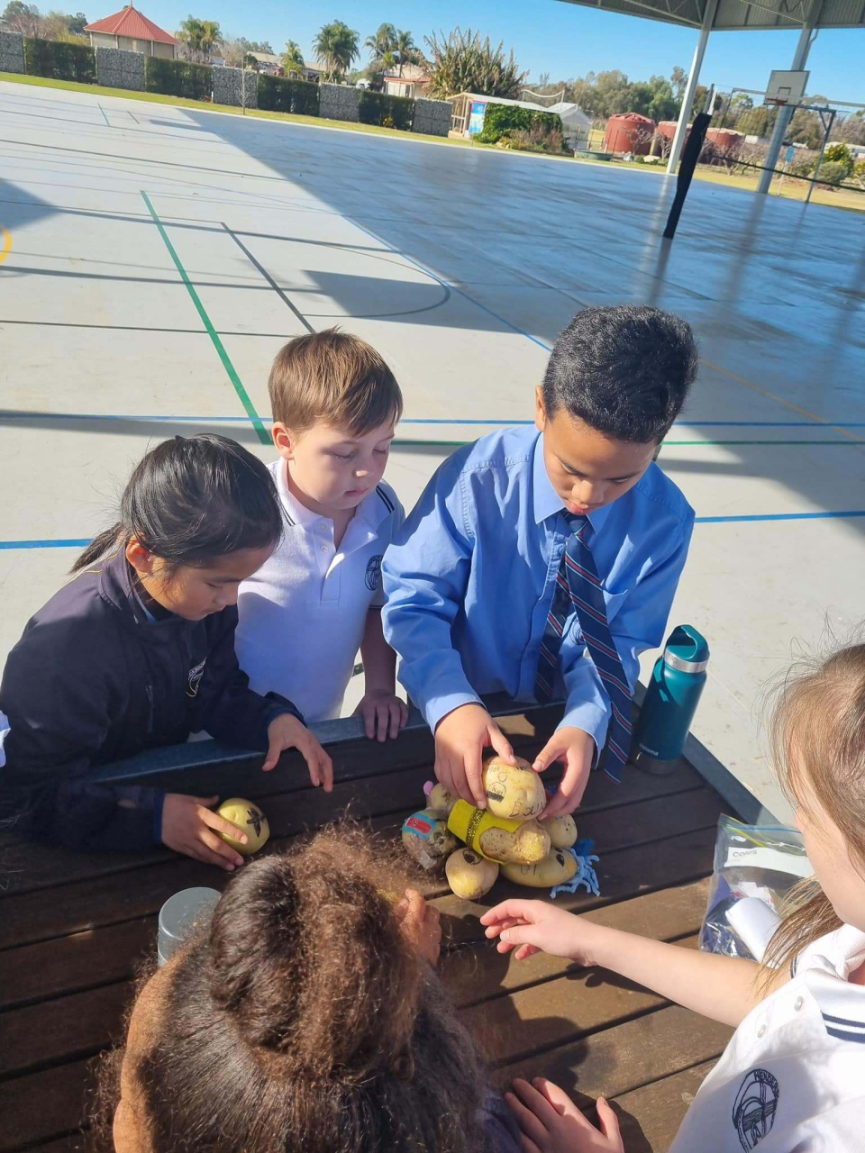 453871417 545238794498250 186438217236697724 n