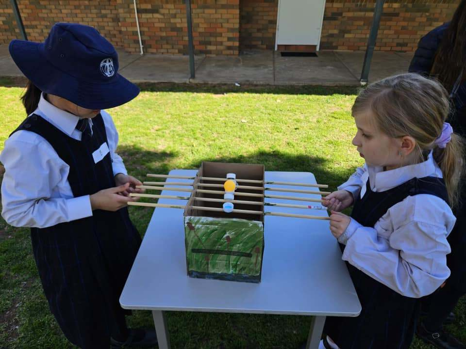 455602637 553844896970973 6732101496401204508 n