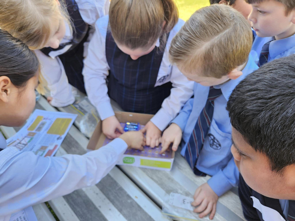 455861461 553846480304148 5099734862412703511 n