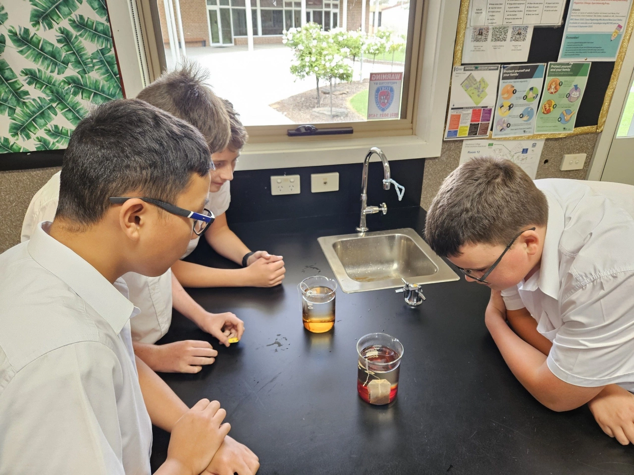 431680647 461037249585072 4198836001434140689 n