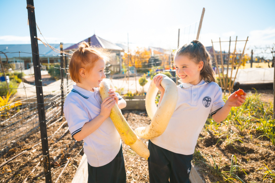 Henderson ELC Play 1 3