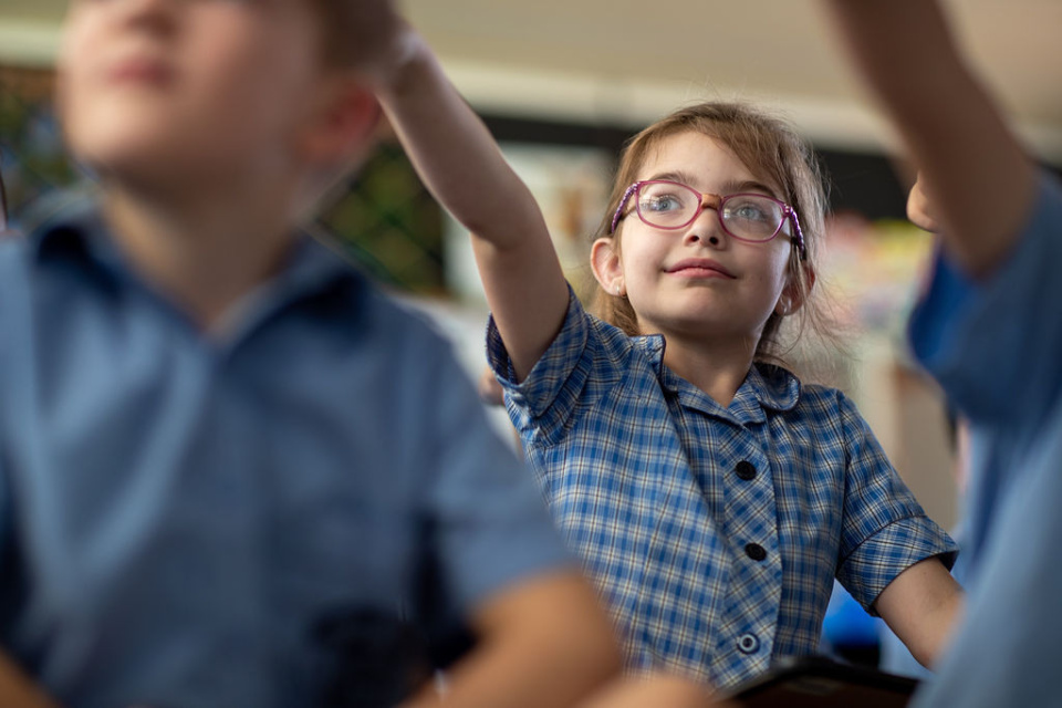 Hand up student classroom