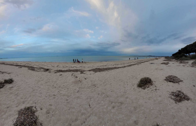 452899615 541206698234793 4849507329793686956 n