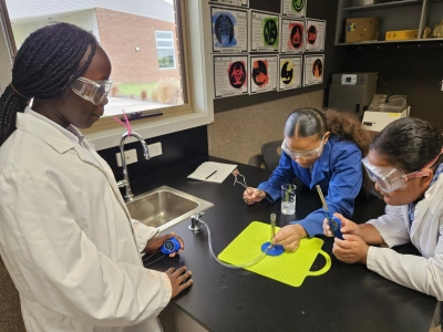 431728338 461037179585079 2391682427439707894 n