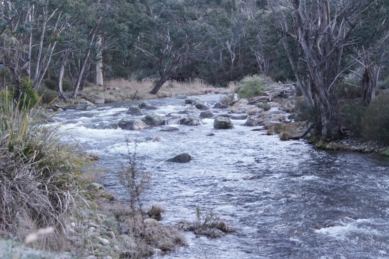 DSC00338
