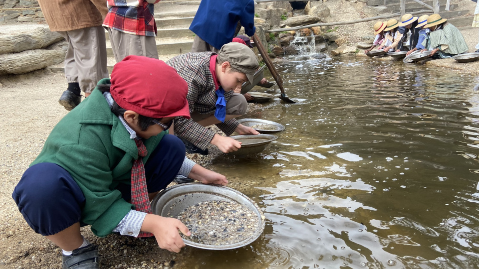 primary-excursion-sifting-gold