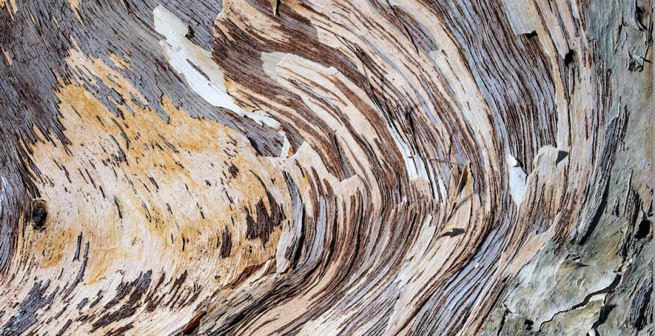 David clode Lan GUE Bu DPY unsplash