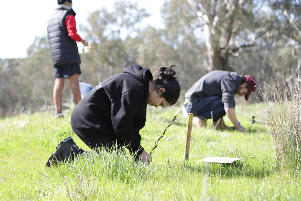 Learning 4 life mernda hills
