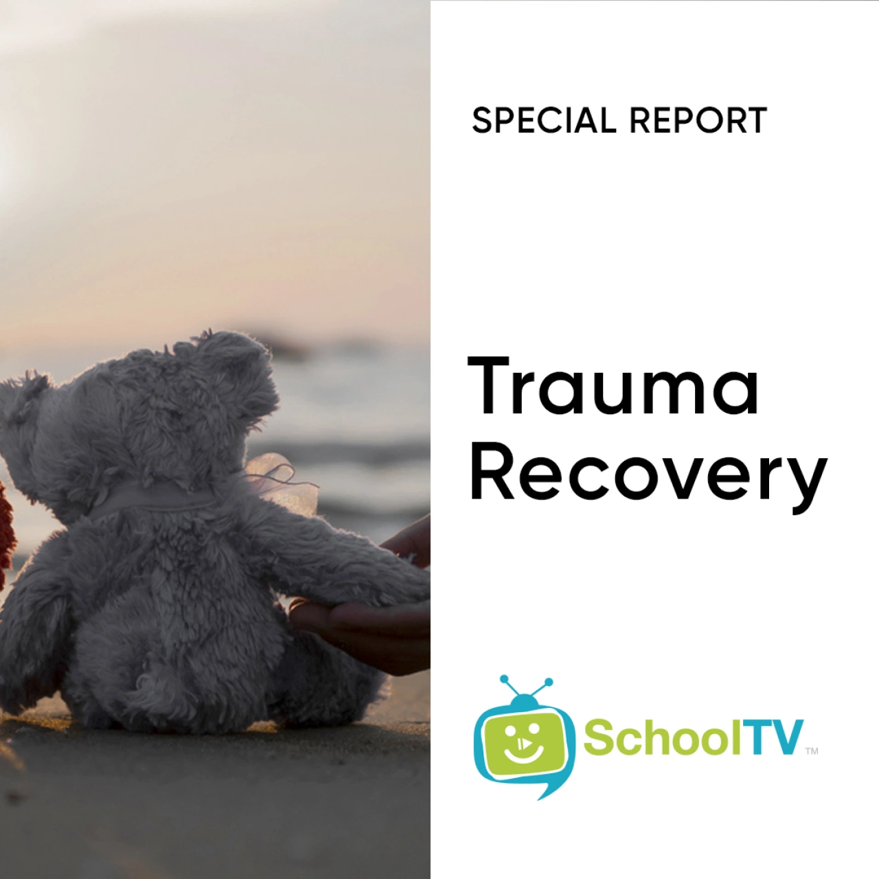 Trauma Recovery Instagram