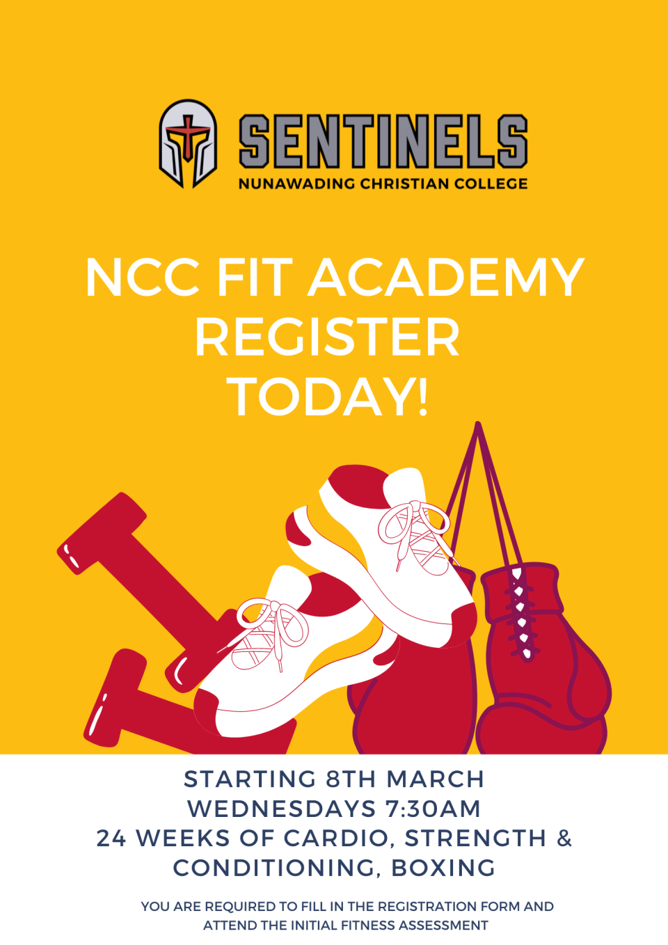 2023 SE Sentinels Tryout Posters