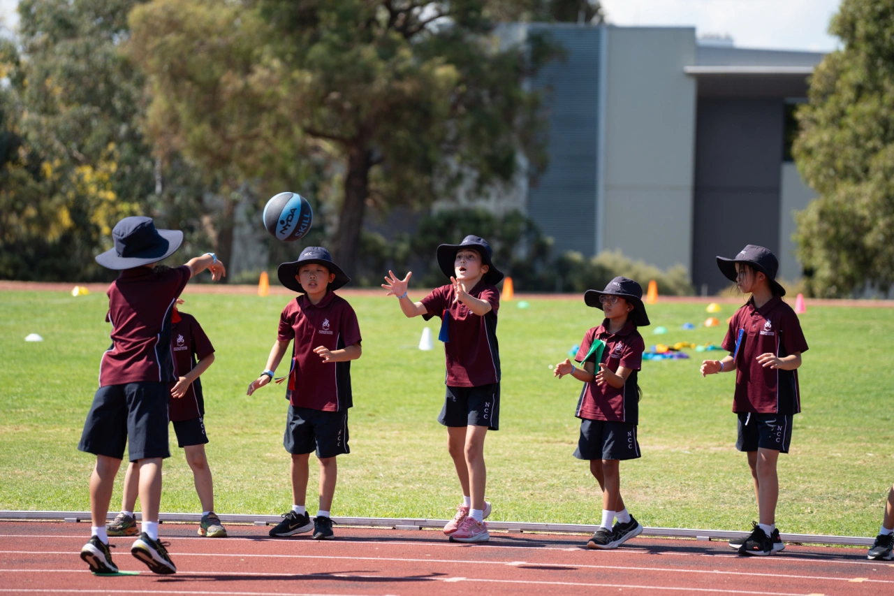 Primary Teamwork