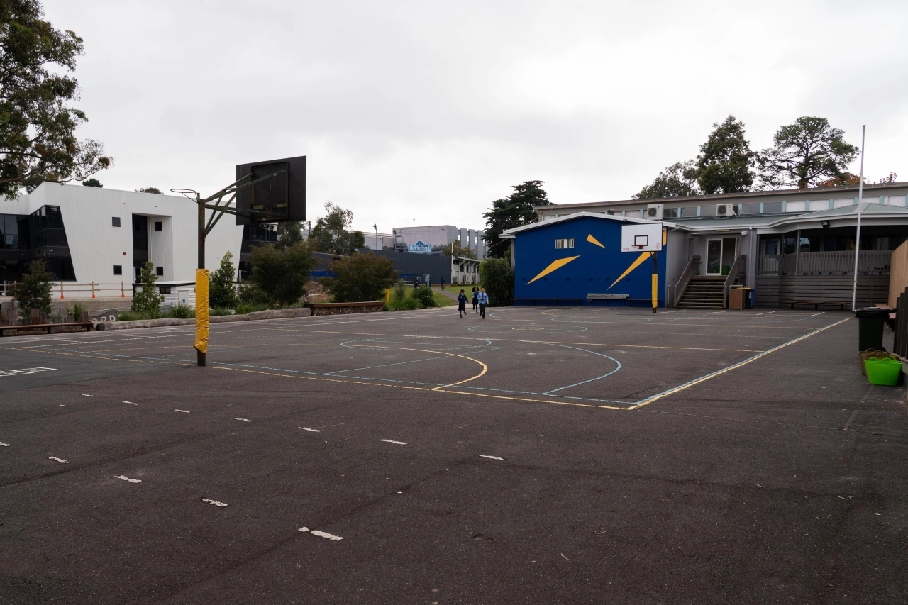 Primary Basketball