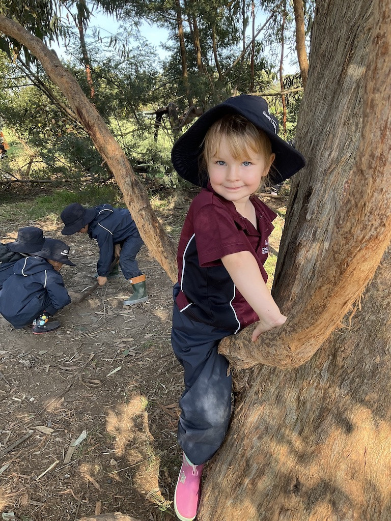 Inventors Bush Kinder Insta