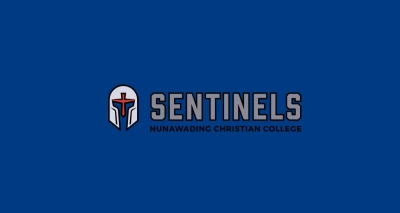 Sentinels Page Banner